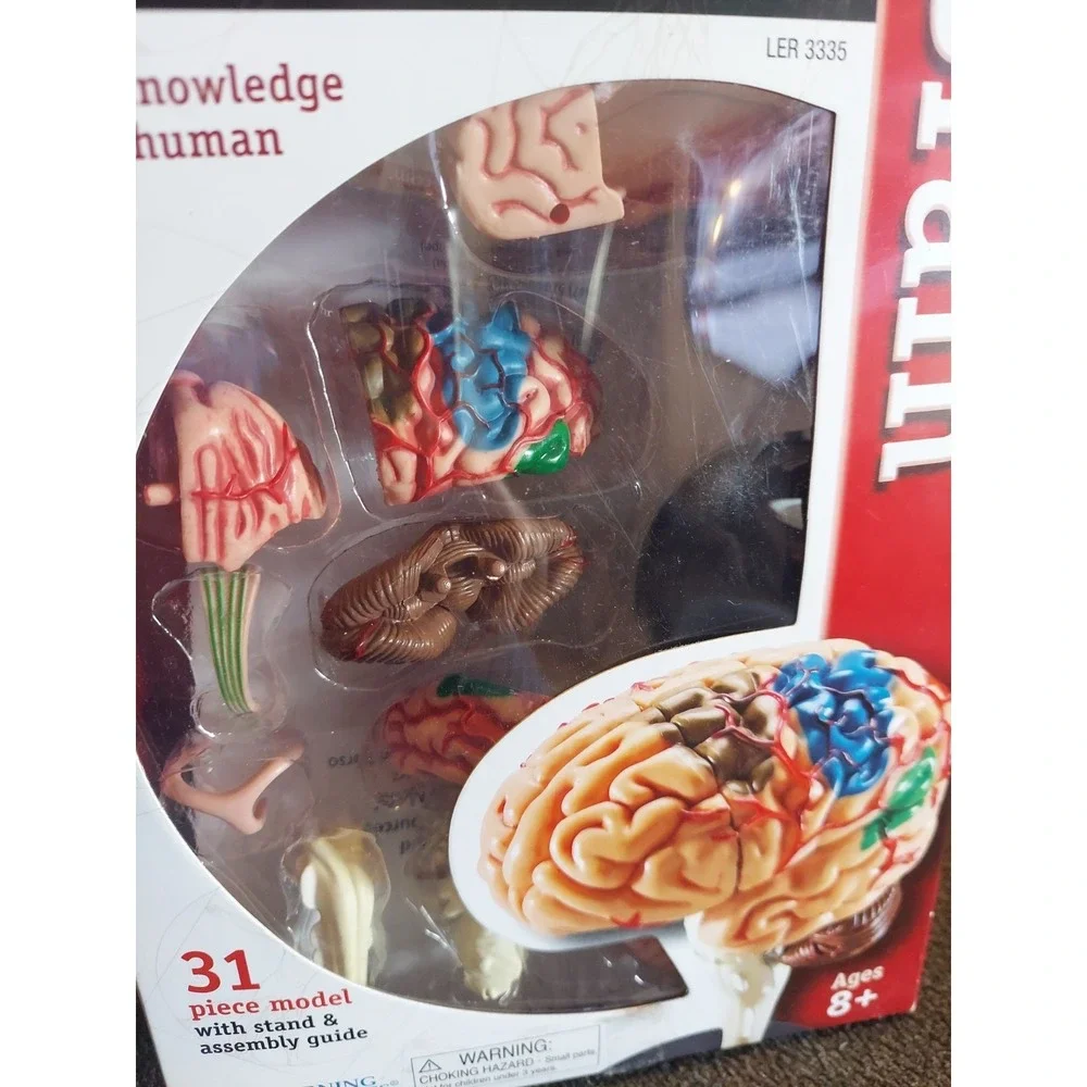 Learning Resources Human Anatomy Brain Model 31 Pieces NIB Homeschooling Nursing